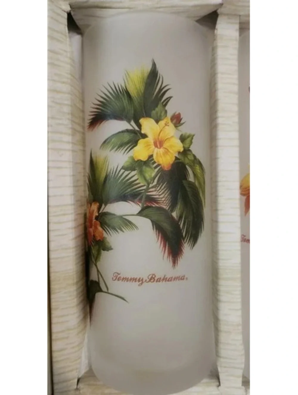 Vintage Collector's Tommy Bahama Frosted Tropical Tumblers Set of 6 (Never Used)